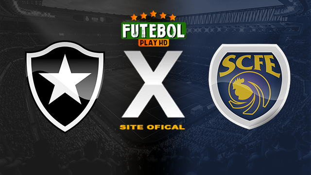 Assistir Botafogo x Sampaio Corrêa AO VIVO Online 17/03/2024