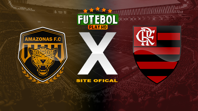 Assistir Amazonas x Flamengo ao vivo online HD 22/05/2024