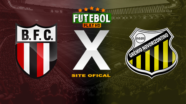 Assistir Botafogo SP x Novorizontino ao vivo online HD 27/05/2024