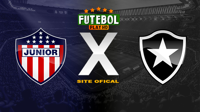 Assistir Junior x Botafogo ao vivo online HD 28/05/2024